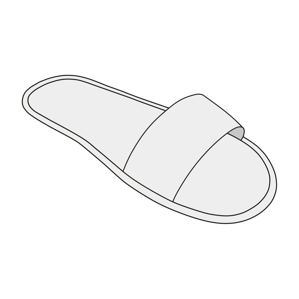 SlipperBasic